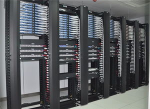 福田白沙嶺安防監控與IT外包系統集成的全面解析